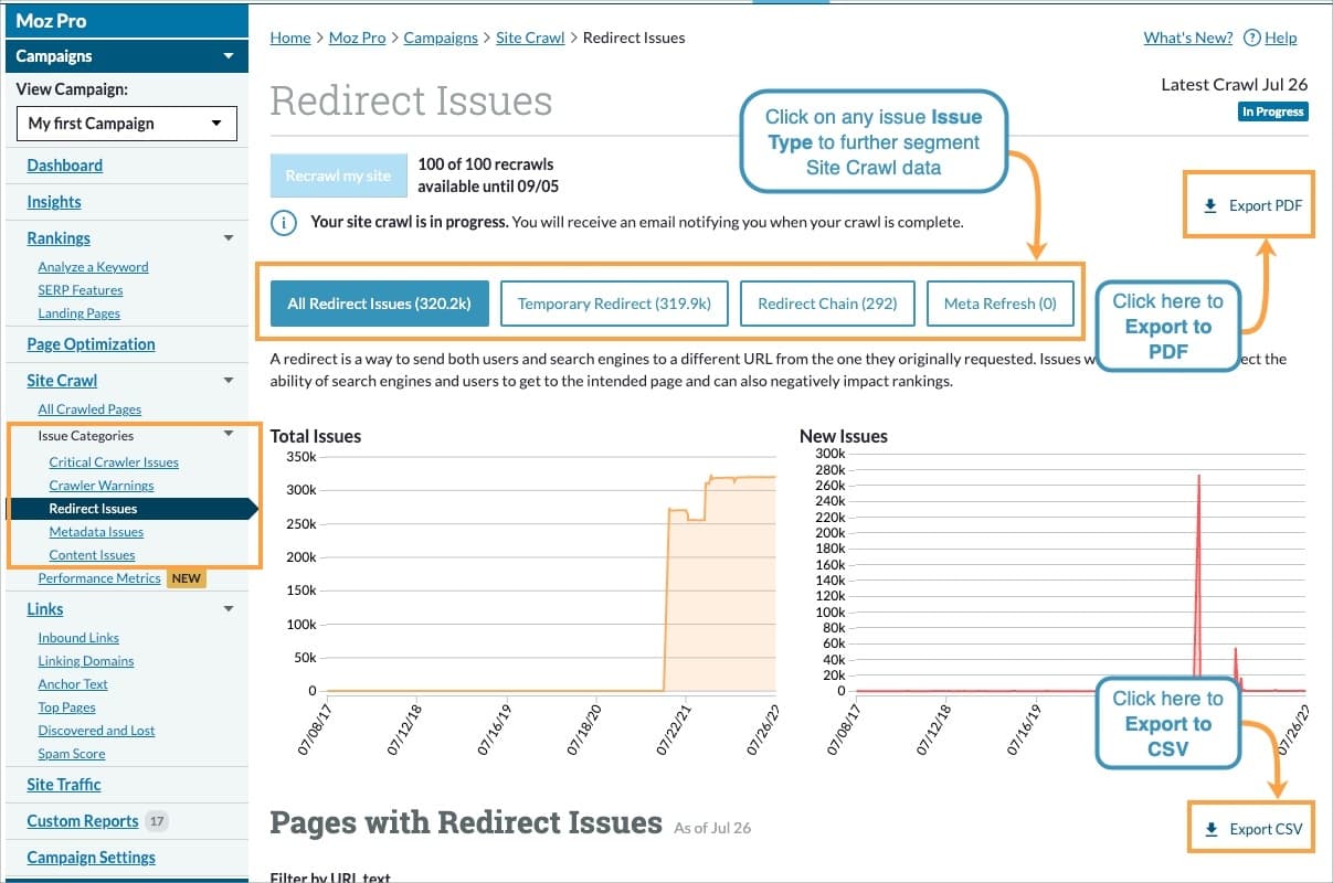 Use the issue type buttons at the top of the page to limit your exports to only a specific issue on your site.