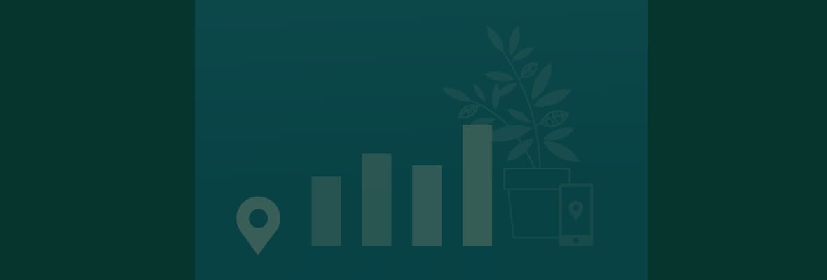 State of local bg dark