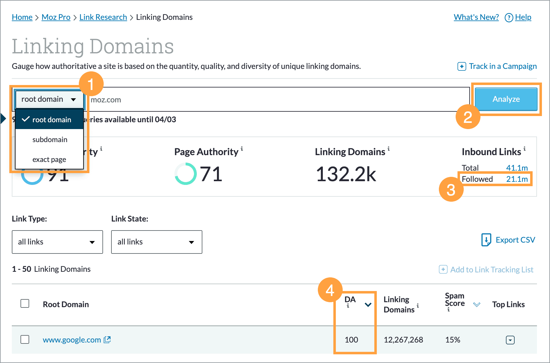 After entering in the site you're researching, click analyze to the right.