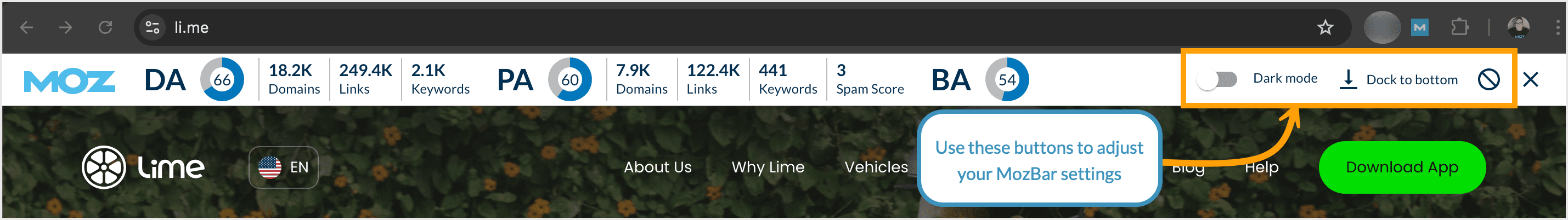MozBar settings options in the bar itself.