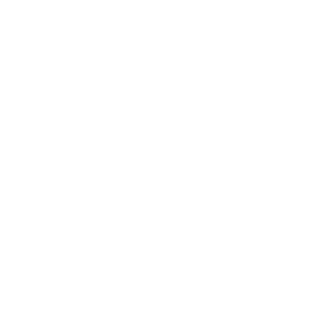 What is a Navigational Search Query?