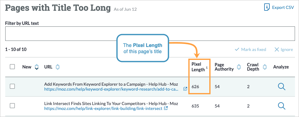 Pages with title too long issue flag noting the pixel length for the title.