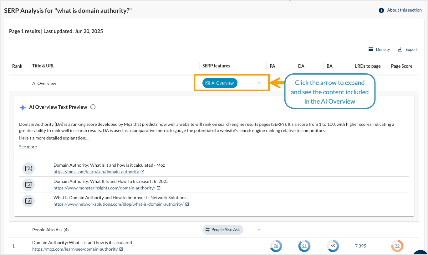 Screenshot of the AI Overview in SERP Analysis.